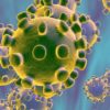 Coronavirus: parla l’infettivologo